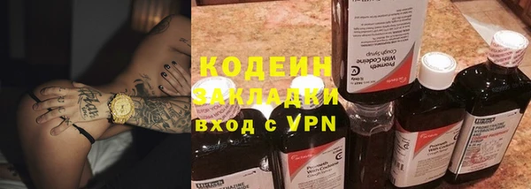шишки Саяногорск