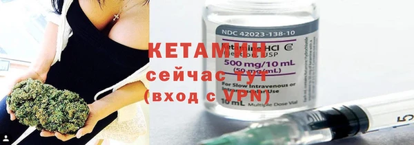 шишки Саяногорск