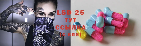 шишки Саяногорск
