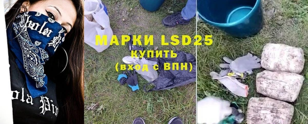 шишки Саяногорск