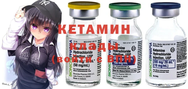 шишки Саяногорск
