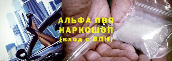 шишки Саяногорск