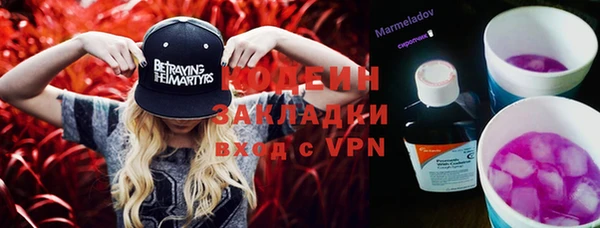 шишки Саяногорск