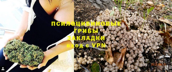 шишки Саяногорск