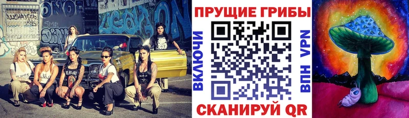 Галлюциногенные грибы Cubensis  kraken зеркало  Тобольск 