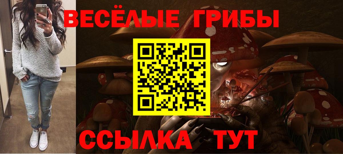 Тобольск  Псилоцибиновые грибы Psilocybe  Вход с VPN  Псилоцибиновые грибы Psilocybe 