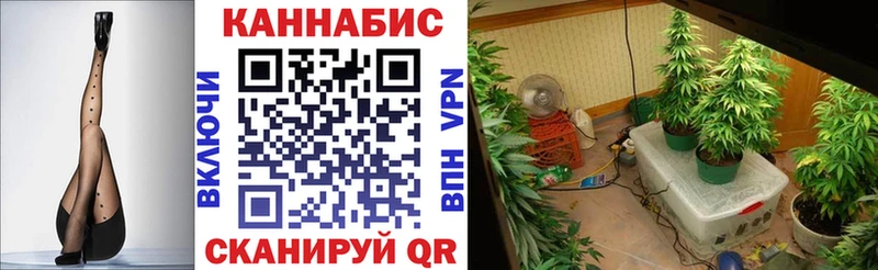 Конопля Amnesia  Тобольск 